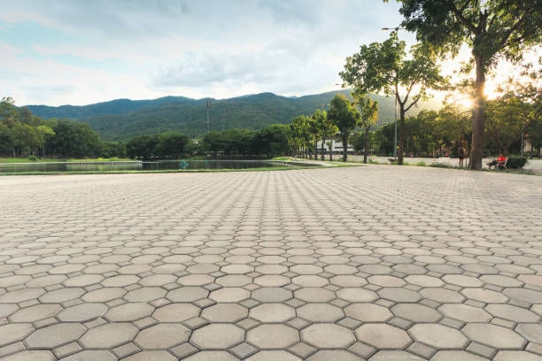 Best Concrete Paver Driveway  in Dayton, MN