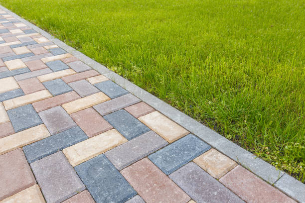 Best Permeable Paver Driveway  in Dayton, MN